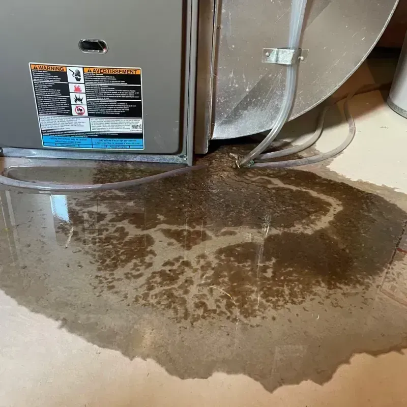 Appliance Leak Cleanup in Brown County, IL